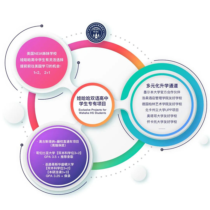 4 杭州市娃哈哈双语学校留学方向及入学考试2.jpg