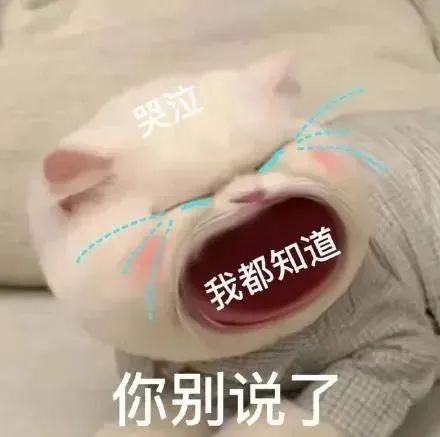 2 国际高中暑假衔接课_A-LevelAP暑假培训班2.jpg