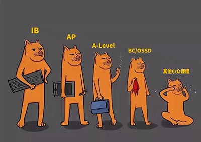 IB/AP/A-Level/OSSD四大国际课程对比