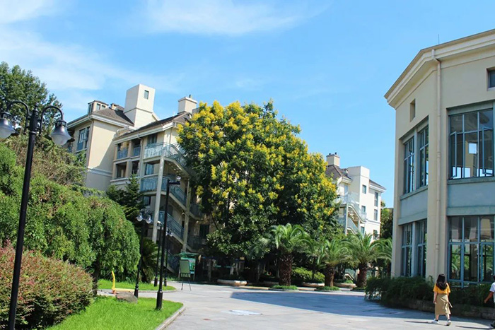 8 绿城教育常春藤国际高中学校简介15.jpg