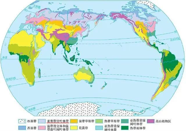 2022年12月SAT北美场考试考情回顾,阅读文章太长了！