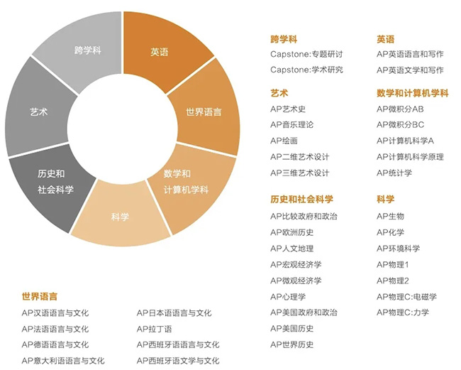 AP课程培训 | AP文科科目应该怎么选