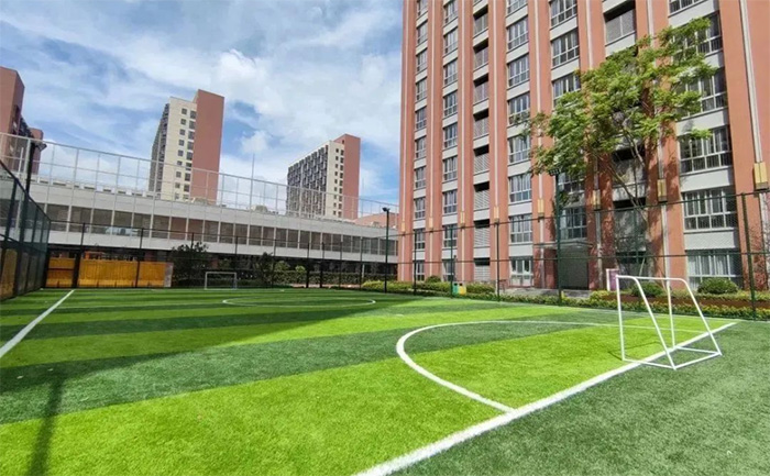 上海圣华紫竹学院(原华二紫竹学院)，23年3枚牛剑预录取！