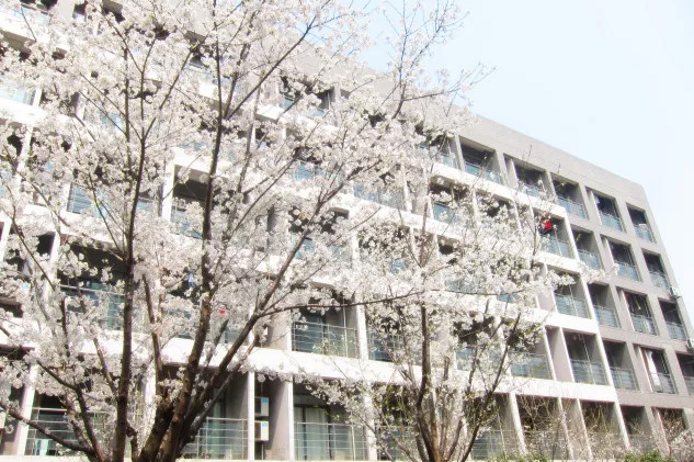 2023年杭州第四中学国际部招生回顾
