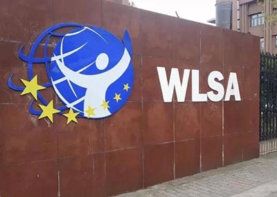 2024年WLSA上海学校春招考试试题回顾，难度大！