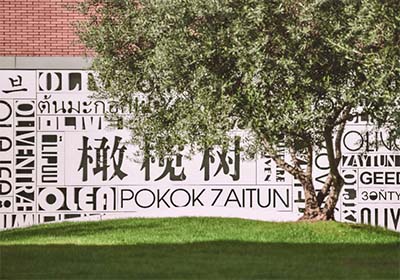 杭州橄榄树学校2024年招生简章，接连两届获剑桥offer