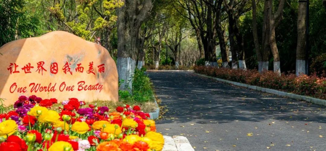 1722848940138770.jpg 3 上海籽奥高中2024年秋季开启招生,学费23万元年1.jpg