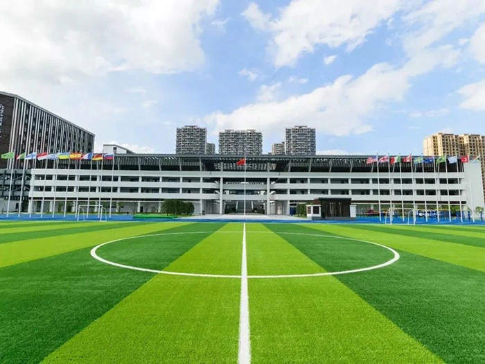 杭州橄榄树学校2025年招生考试题型