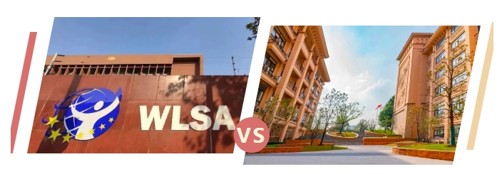 上海星河湾双语/WLSA学校主申美国，成绩不错！