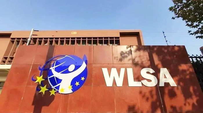 WLSA上海学校2025年秋招考试真题(2025.3.15场)