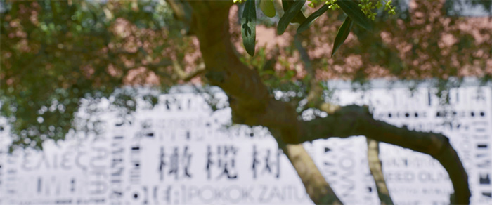 2 杭州地区开设DSE课程国际学校盘点3.jpg