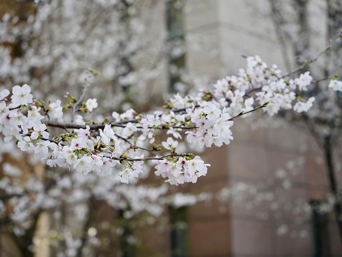 1 杭外剑高2026年4月12日校园招生开放日9.jpg