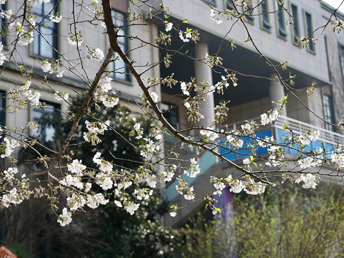 1 杭外剑高2026年4月12日校园招生开放日10.jpg