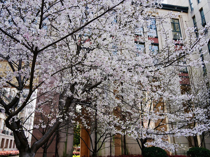 1 杭外剑高2026年4月12日校园招生开放日12.jpg