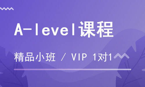 【朗思】A-level VIP个性化培训班