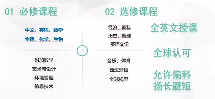 杭州橄榄树学校好不好,值不值得上?