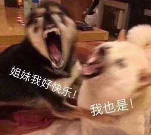 2020年10~12月托福考试时间及考位