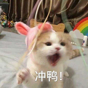 雅思|浙江传媒大学小姐姐首考7分,一战成功!