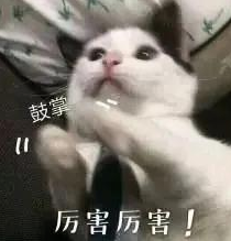 雅思备考如何准备?雅思词汇量如何提升?