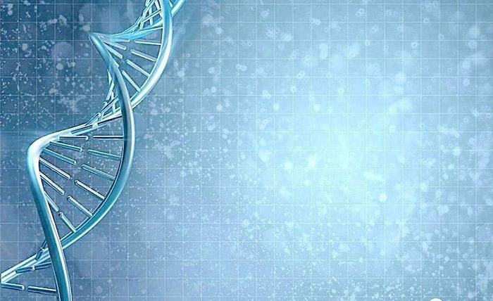 ACT和SAT考试考哪个好?科学合理选择!